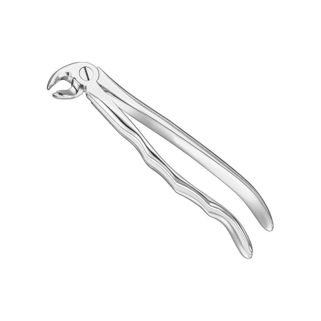 Extracting forceps, anat.